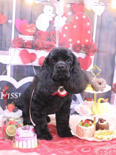 20250214そらくん 